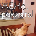 ������ �� holigan4e