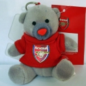 ������ �� Arsenal1931