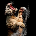 ������ �� divaka112