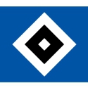 ������ �� HSV93
